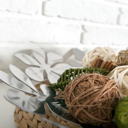 Iguana